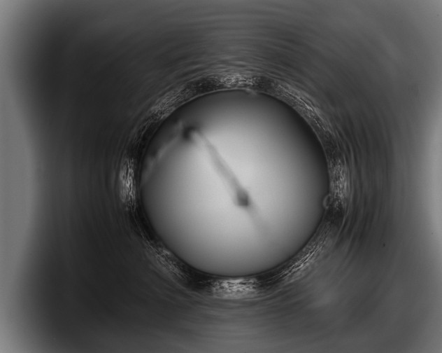 X0000097800622200803201358