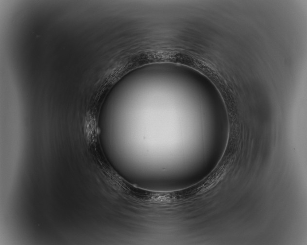 X0000097800624200803201358