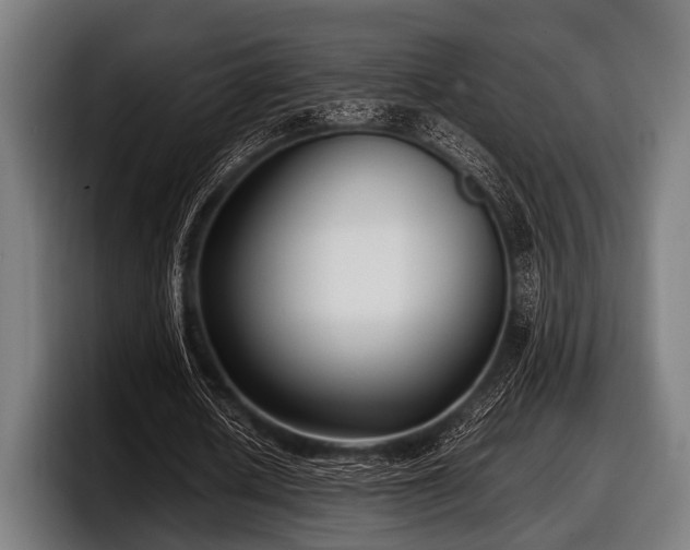 X0000097800626200803201358