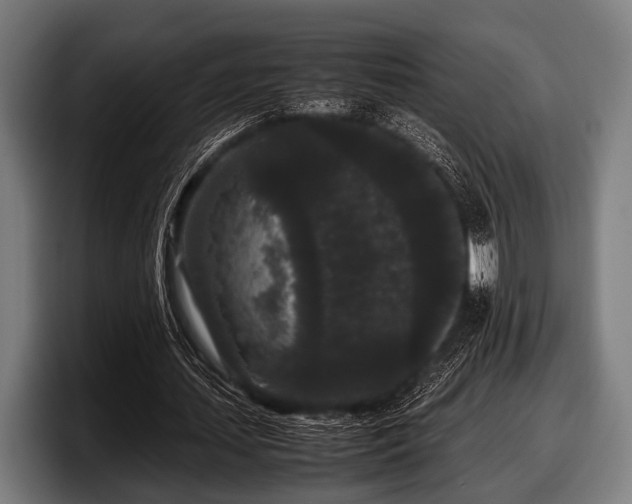 X0000097800627200803201358