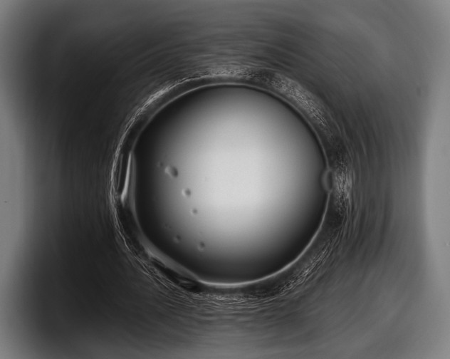 X0000097800628200803201358