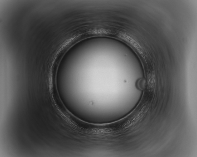 X0000097800629200803201358