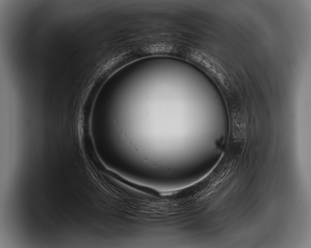 X0000097800631200803201358