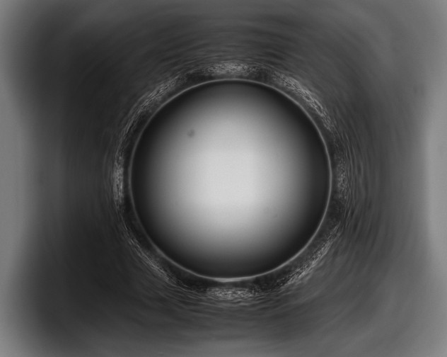 X0000097800633200803201358