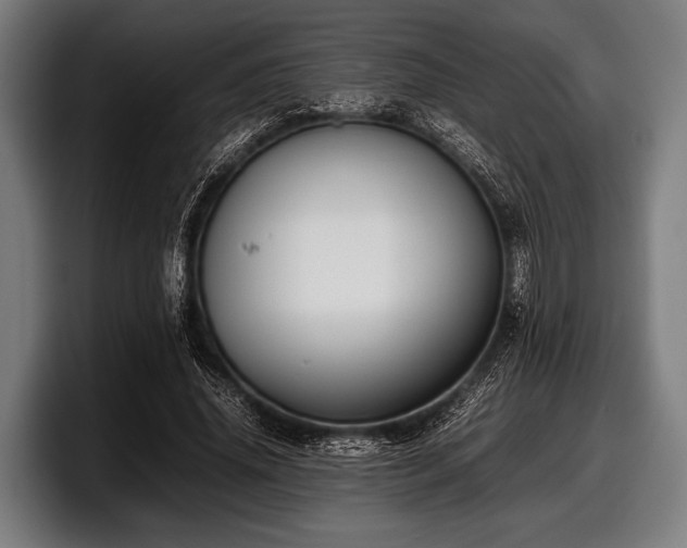 X0000097800636200803201358