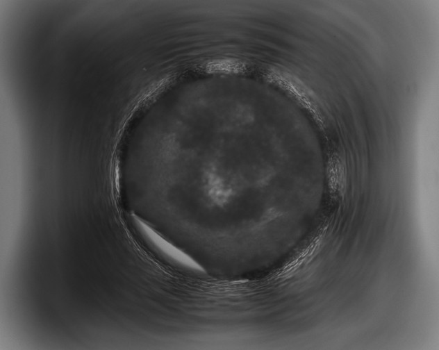 X0000097800637200803201358