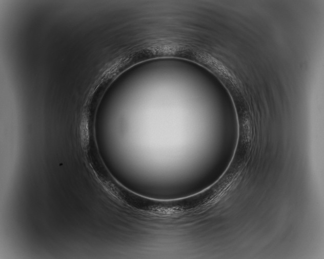 X0000097800638200803201358