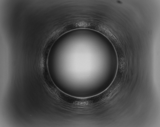 X0000097800639200803201358