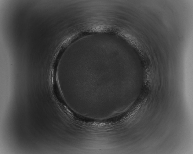 X0000097800640200803201358