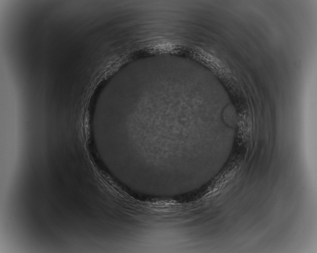 X0000097800642200803201358