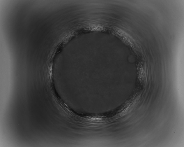 X0000097800643200803201358