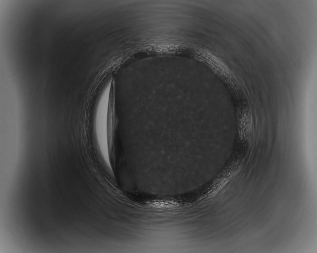 X0000097800644200803201358