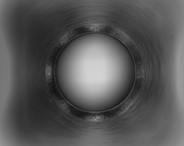 X0000097800646200803201358