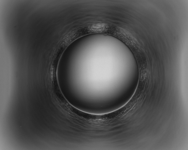 X0000097800647200803201358