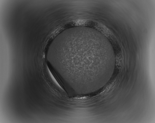 X0000097800648200803201358