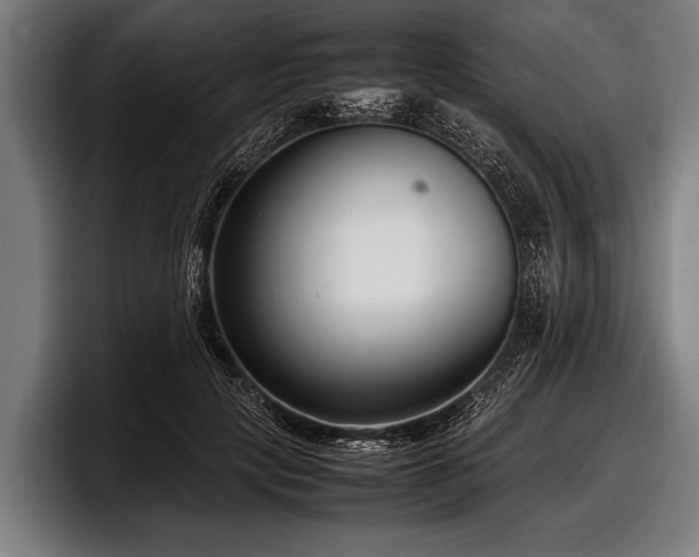 X0000097800649200803201358