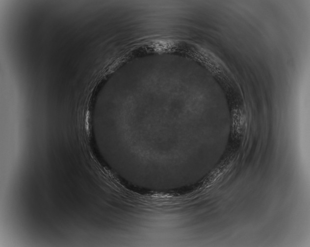 X0000097800650200803201358