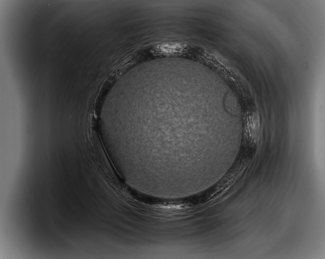 X0000097800651200803201358