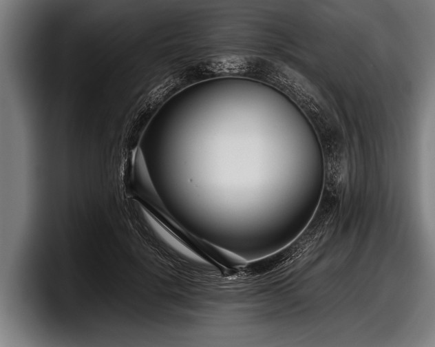 X0000097800652200803201358