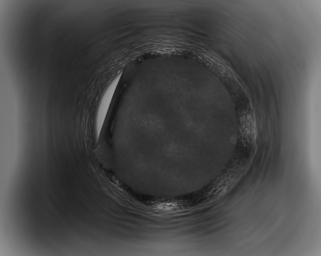 X0000097800653200803201358