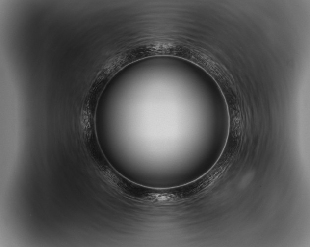 X0000097800654200803201358