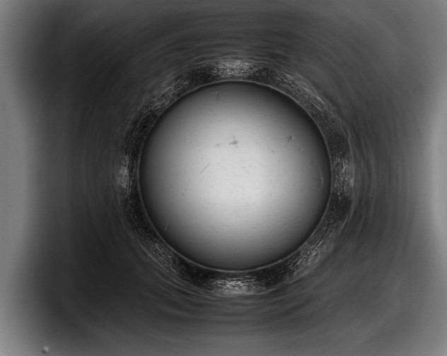 X0000097800655200803201358