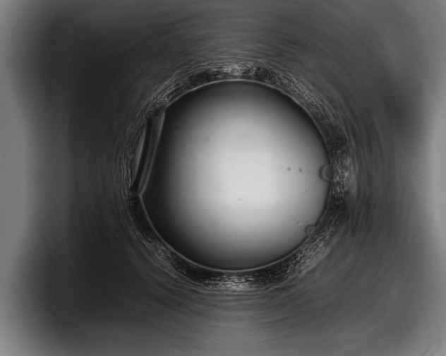 X0000097800656200803201358