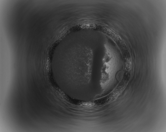 X0000097800659200803201358