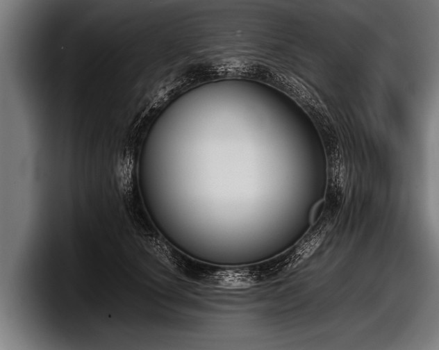 X0000097800660200803201358