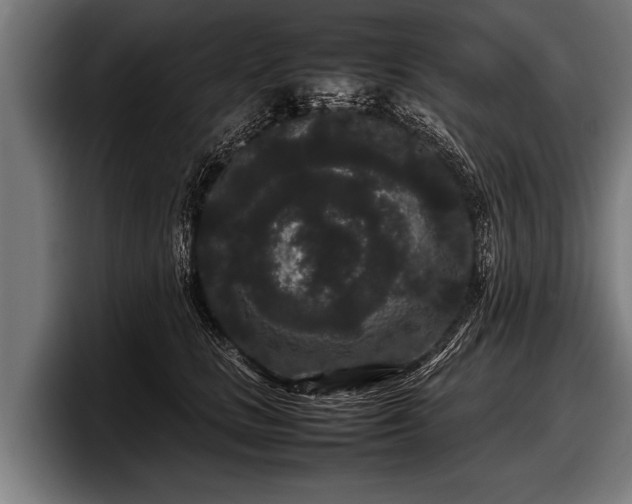 X0000097800661200803201358