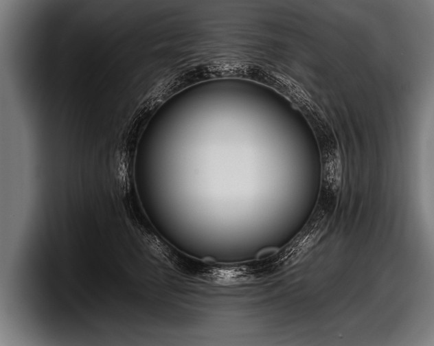 X0000097800662200803201358