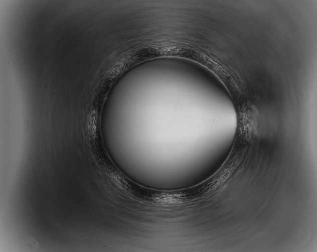 X0000097800664200803201358