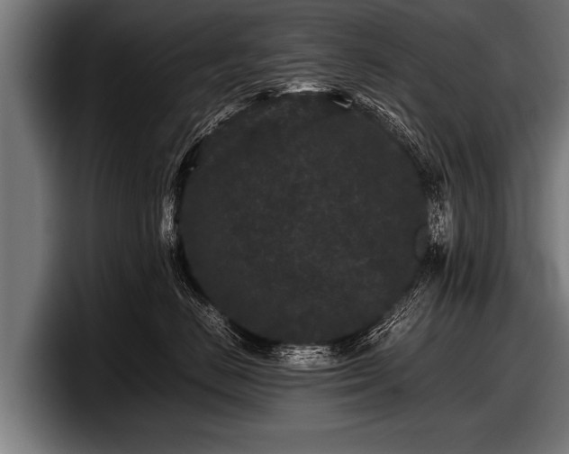 X0000097800670200803201358