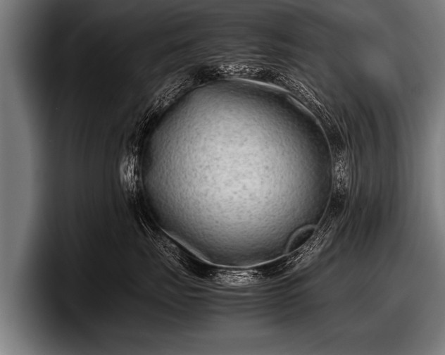 X0000097800671200803201358