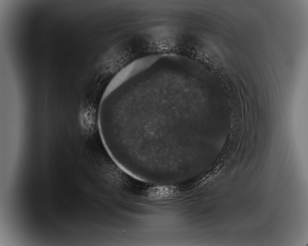 X0000097800672200803201358