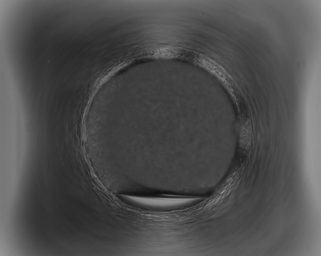 X0000097800673200803201358