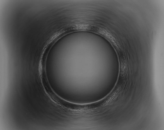 X0000097800674200803201358