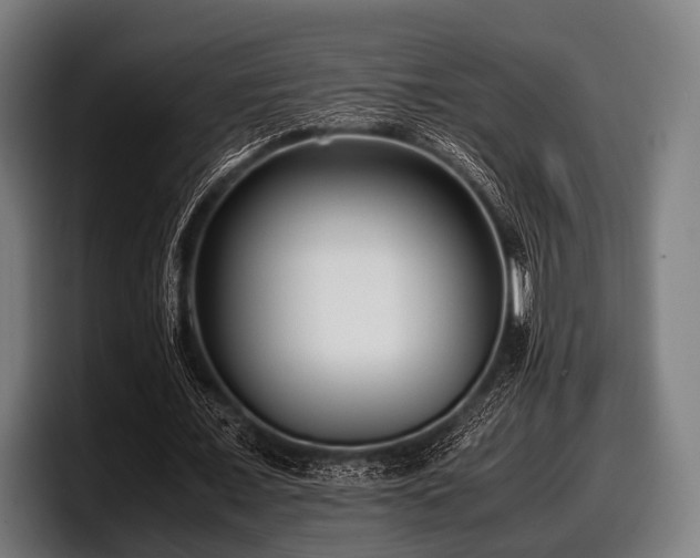 X0000097800675200803201358