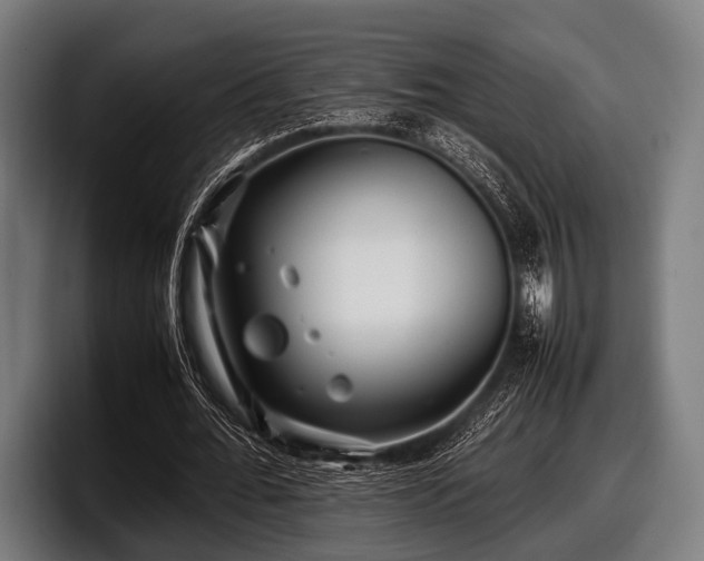 X0000097800676200803201358