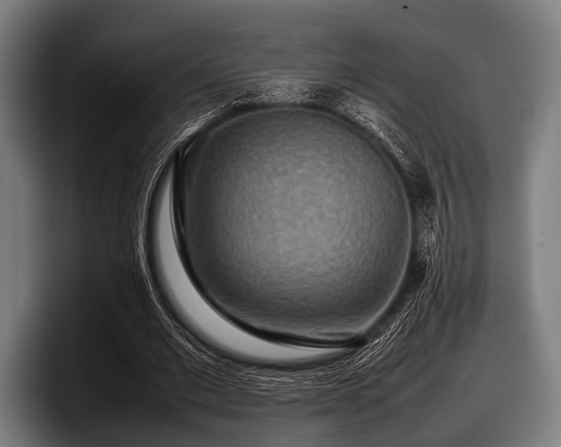 X0000097800677200803201358