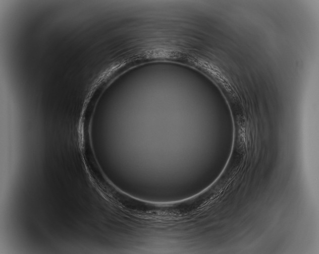 X0000097800678200803201358