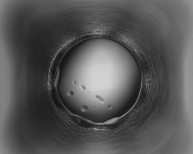 X0000097800680200803201358