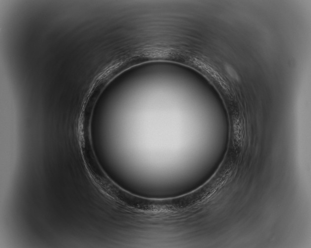 X0000097800682200803201358