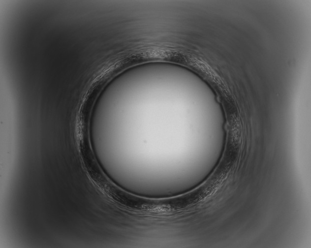 X0000097800683200803201358