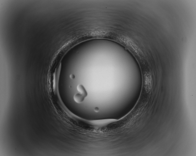 X0000097800684200803201358