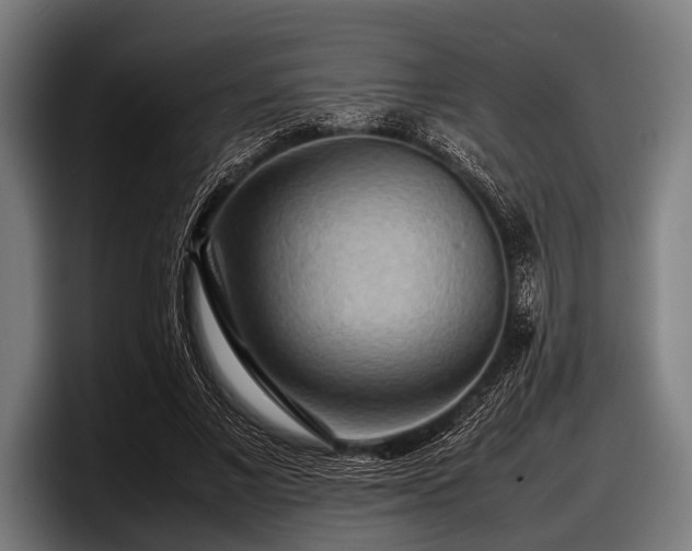 X0000097800685200803201357