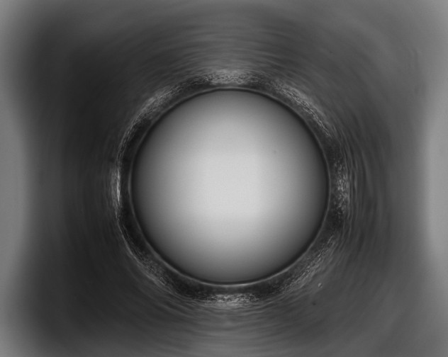 X0000097800686200803201357