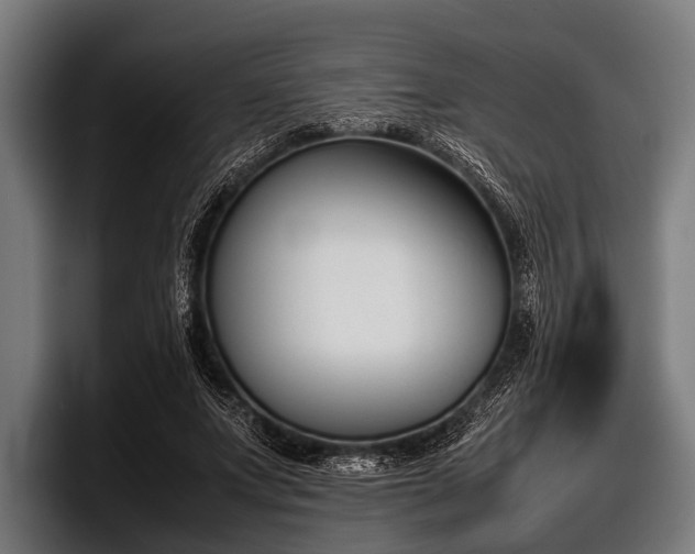 X0000097800687200803201357