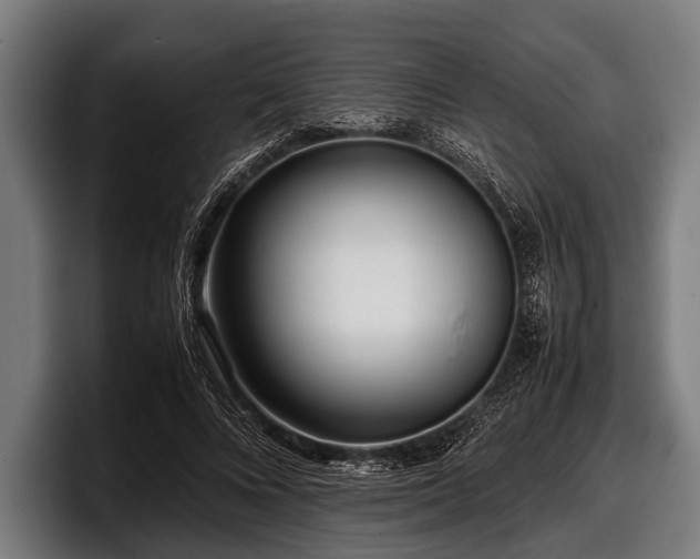 X0000097800688200803201357