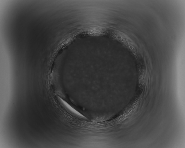 X0000097800689200803201357